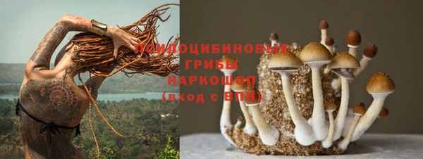 бутират Алексеевка