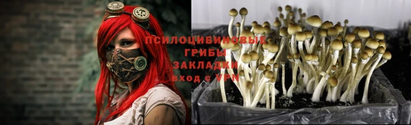 гашишное масло Алексин