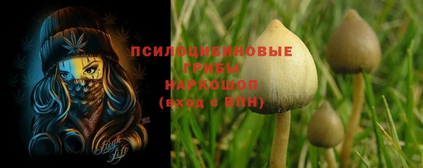 MESCALINE Алзамай