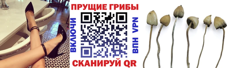 Псилоцибиновые грибы ЛСД  Нея 